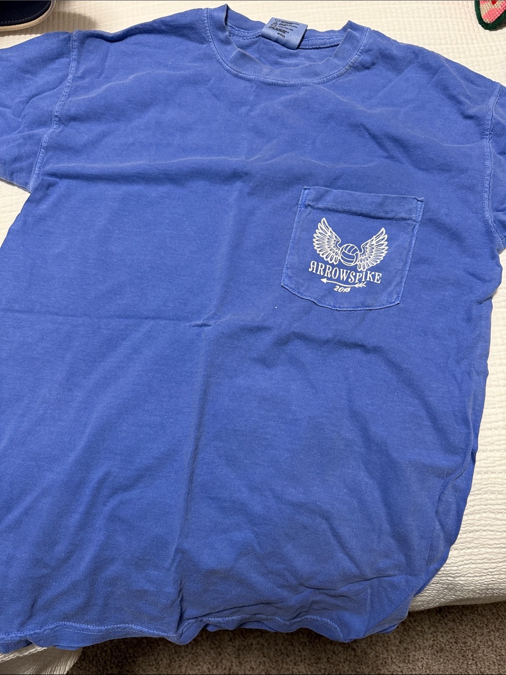 Pi Phi and Beta Comfort Colors TShirt